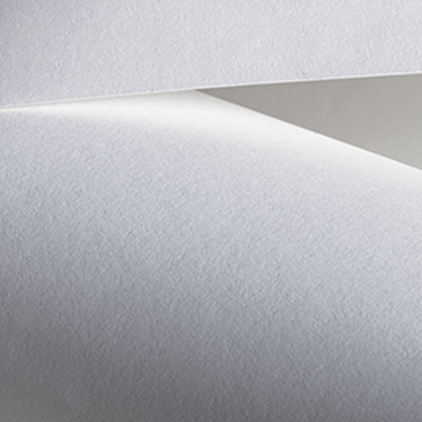 CENTURY COTTON WOVE