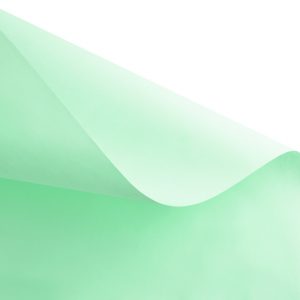 NCR-greenw